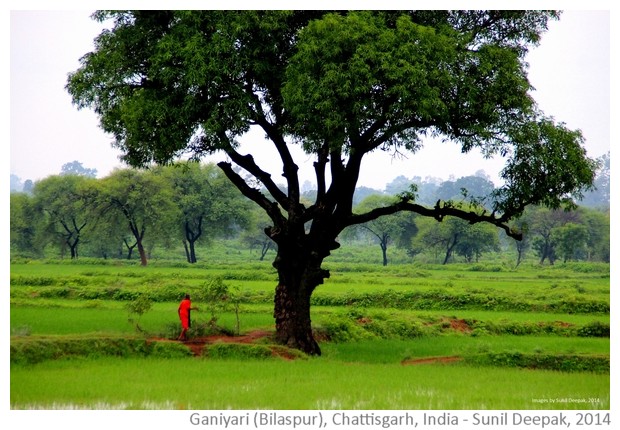 Ponds, rice fields & temples from Bilaspur India