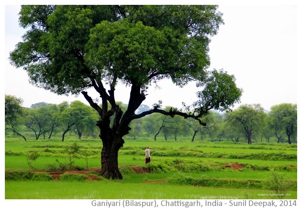 Ponds, rice fields & temples from Bilaspur India