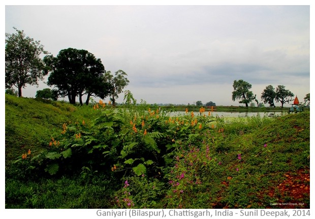 Ponds, rice fields & temples from Bilaspur India