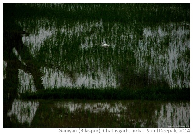 Ponds, rice fields & temples from Bilaspur India
