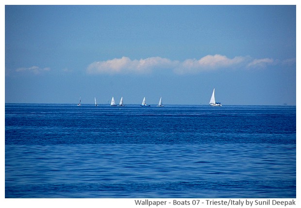 Boats from around the world