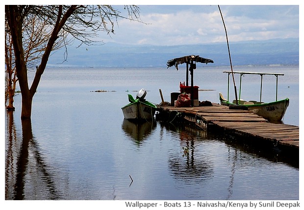Boats from around the world