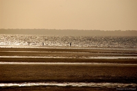 Sunset at Beja Beach, Amazonas, Brazil