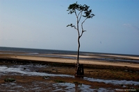 Sunset at Beja Beach, Amazonas, Brazil