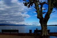 Lake Leman in Geneva, Switzerland