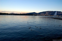 Lake Leman in Geneva, Switzerland