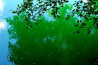 Lakes in north-east Italy