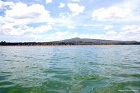Wildlife from Naivasha, Kenya